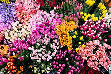 《极限国度》第八赛季启动 免费周末供玩家尽情体验